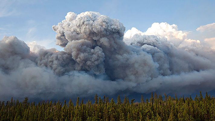 Smoke rises above trees as a wildfire burns in Fort McMurray, Alta., on Wednesday May 4, 2016. The wildfire has already torched 1,600 structures in the evacuated oil hub of Fort McMurray and is poised to renew its attack in another day of scorching heat and strong winds. (Jason Franson/CP)