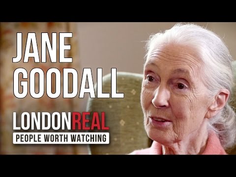 Dr. Jane Goodall - Wild At Heart - PART 1/2 | London Real