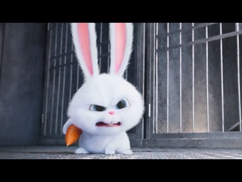 The Secret Life of Pets - Supercut | all clips & trailers (2016) Kevin Hart