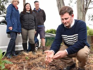 Brett Morris is upset after native plants were poisoned at ashburton station