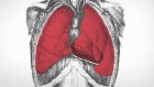 fentanyl-lungs-explainer