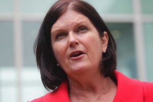 ACOSS chief executive Cassandra Goldie said flaws in the legislation for the proposed internship scheme would put ...