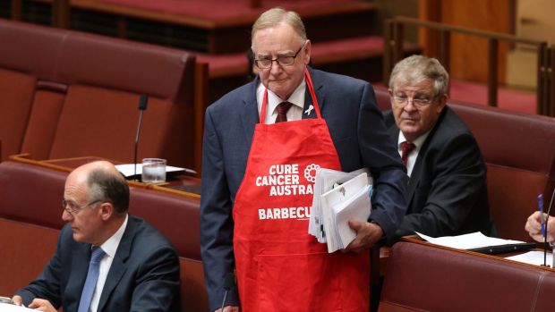 Senator Ian Macdonald wears a cure cancer apron to question time in the Senate on Wednesday.