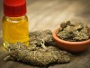 Medicinal cannabis with extracted oil in a bottle