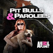 Pit Bulls & Parolees