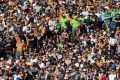 Sun-drenched hill: Spectators cram into Leichhardt Oval to watch the Tigers and Raiders.