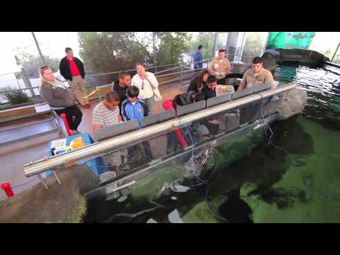 Living Coast Discovery Center & San Diego Science Alliance: SeaPerch!