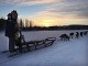 Across the ice by dogsled.