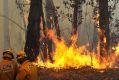 The bushfire season is expected to ramp up in coming months.