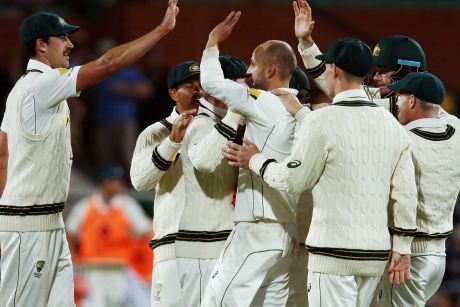 Tweak success: Nathan Lyon is congratulated after taking the wicket of Temba Bavuma.