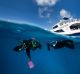 The Great Barrier Reef 2016. Tourists snorkel over Flynn Reef off the coast of Cairns. 2nd November 2016. Photo by Jason ...