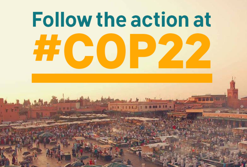 cop22action