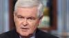 Newt Gingrich