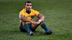 Self inflicted: Will Genia sits dejected after the Wallabies' narrow loss to Ireland.