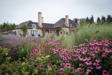 Garden at Mount Algidus in NZ (Supplied: Paul Bangay)