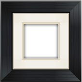 Aviary Frames: Original