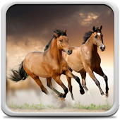 Horses Live Wallpaper