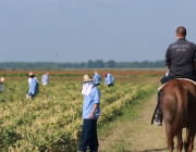 US prison labourers