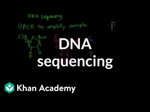 DNA sequencing | Biomolecules | MCAT | Khan Academy