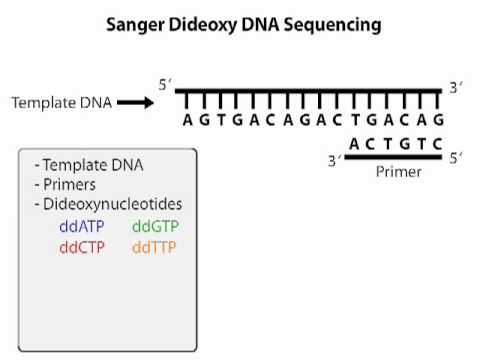 DNA Sequencing