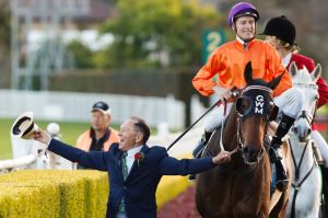 01102016. Sydney Races. Spring Carnival at Randwick Racecourse on Saturday 1 October, 2016. Jockey Blake Shinn, rides ...