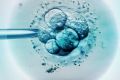 IVF providers have been caught in a "race to the bottom", ACCC says.