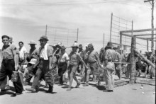 Italian internees (Supplied: Australian War Memorial)