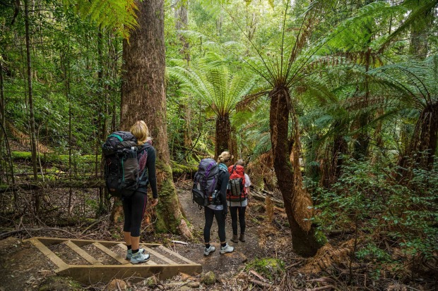 The new Three Capes Walk in Tasmania is a walk of contrasts, from oceanside cliffs to wildflower plains to rainforest ...