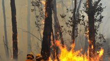 The bushfire season is expected to ramp up in coming months.