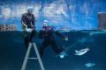 Nicola McCleery and Chantal Daly cleaning the glass at the Penguin display.