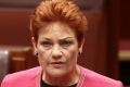 Senator Pauline Hanson is not as happy as she appears on her Christmas poster.