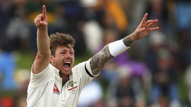 Big innings: James Pattinson.