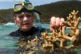 One Nation Senator Pauline Hanson assesses coral near Great Keppel Island.
