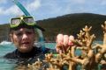 One Nation Senator Pauline Hanson assesses some coral near Great Keppel Island.