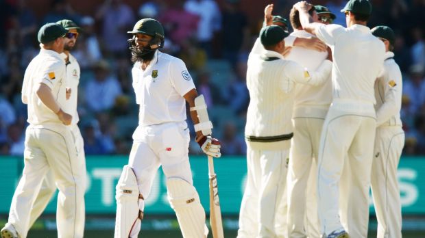 Familiar fate: Hashim Amla walks as Josh Hazlewood is congratulated.