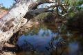 The woman was pulled from the Murchison River in Kalbarri.