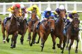 'Tough colt': Mark Zahra riding Cao Cao (left) wins race 2 during Melbourne racing at Moonee Valley Racecourse on ...