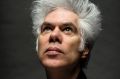 Jim Jarmusch, filmmaking poet of the city, is considering a permanent move to the woods.