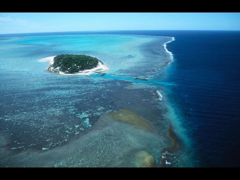 (VIDEO) R I P   Great Barrier Reef pronounced dead by scientists