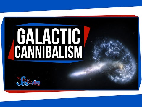 Our Galaxy Is a Cannibal