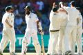 Familiar fate: Hashim Amla walks as Josh Hazlewood is congratulated.