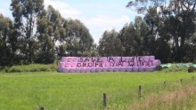 Silage bales with the words "save a life, grope ya wife" written on them.