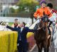 01102016. Sydney Races. Spring Carnival at Randwick Racecourse on Saturday 1 October, 2016. Jockey Blake Shinn, rides ...