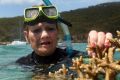 One Nation Senator Pauline Hanson assesses some coral near Great Keppel Island.