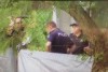 Bones found at Brisbane special education centre