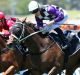 Class: Rory Hutchings rides Zumbelina to win the opener at Rosehill.