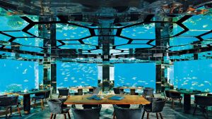 Underwater restaurant Anantara Maldives.