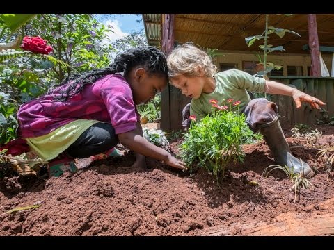 THINKING, FEELING, WILLING - Nairobi Waldorf School