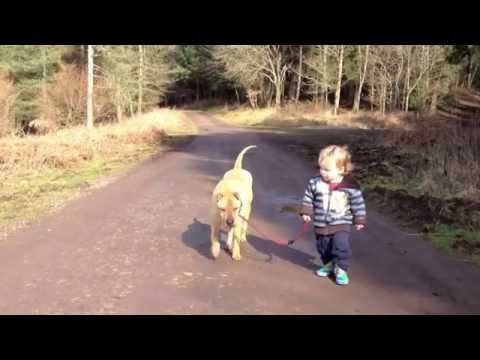 Best Friends - a kid, a dog and a puddle