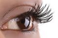 Brush on Fibre eyelash extensions